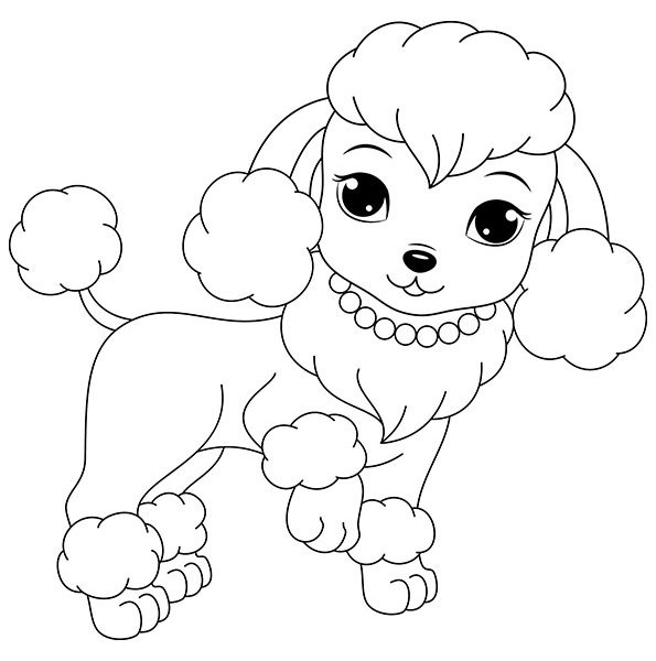 595x600 poodle coloring pages toy poodle drawing - Toy Poodle Drawing