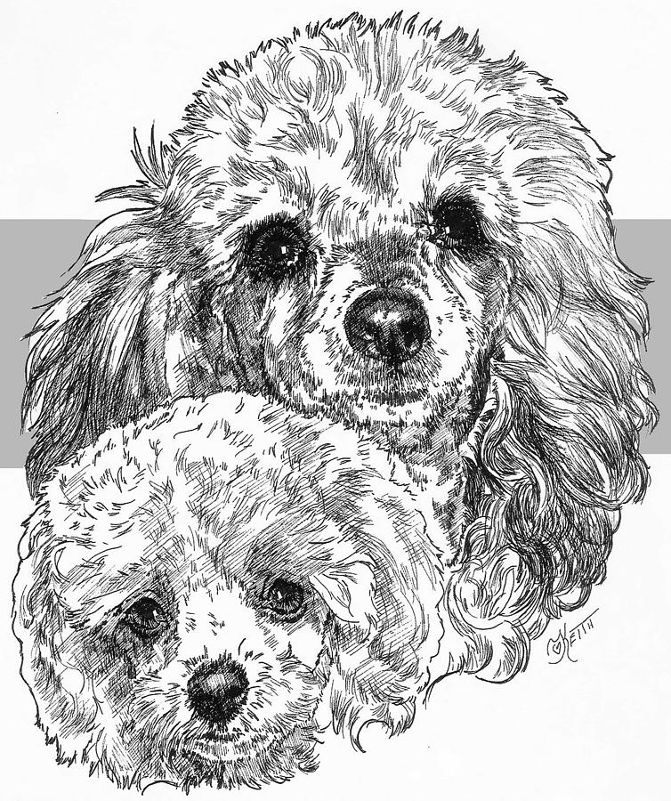754x900 toy poodle and pup drawing - Toy Poodle Drawing