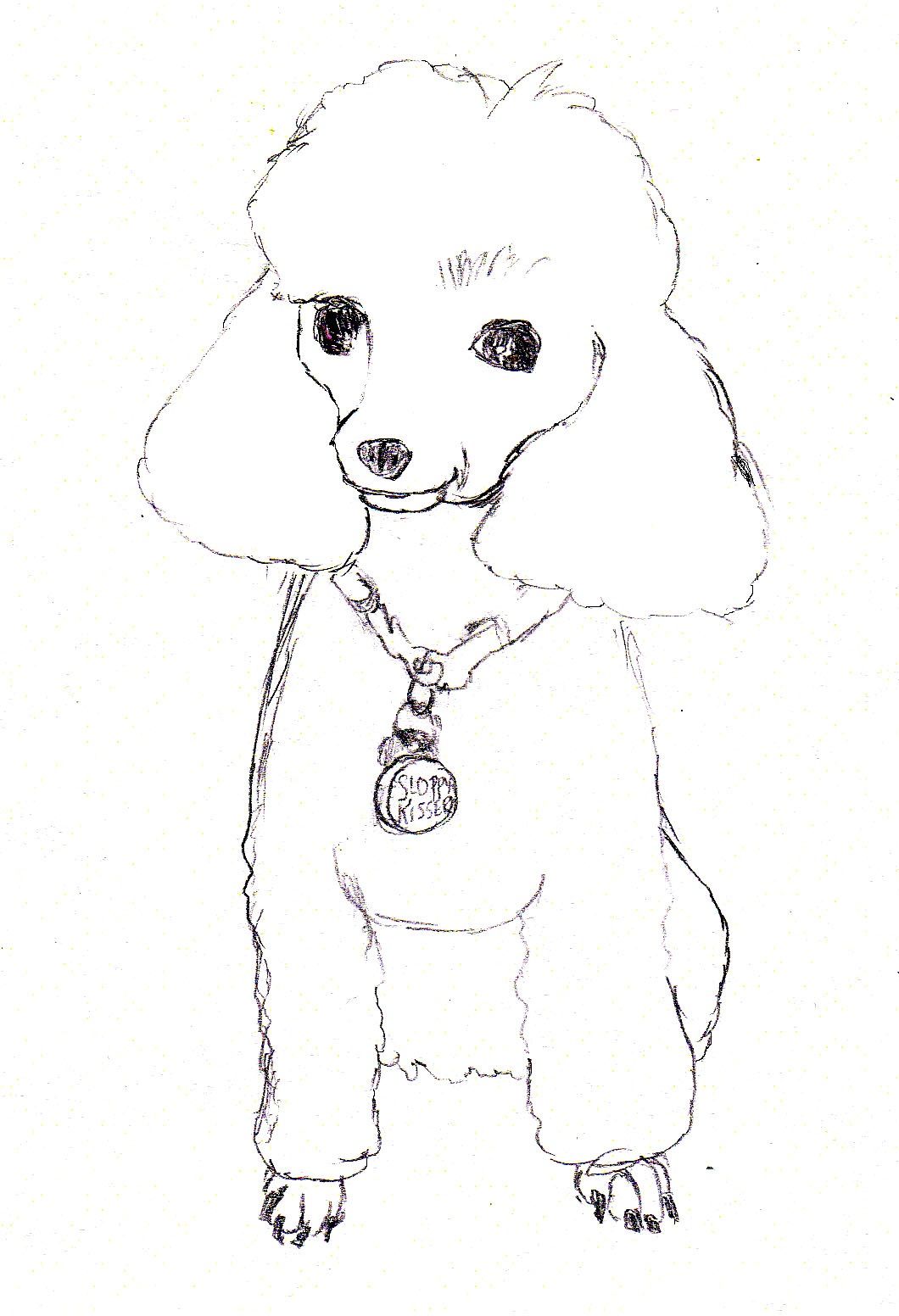 1060x1552 Caricature Artist Sketching Poodle - Toy Poodle Drawing