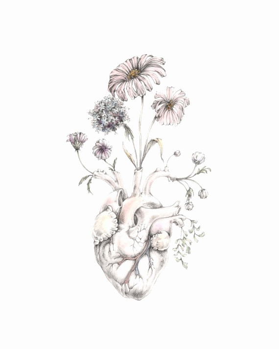 570x713 free lorax coloring pages beautiful cool traceable drawings lovely - Traceable Drawings