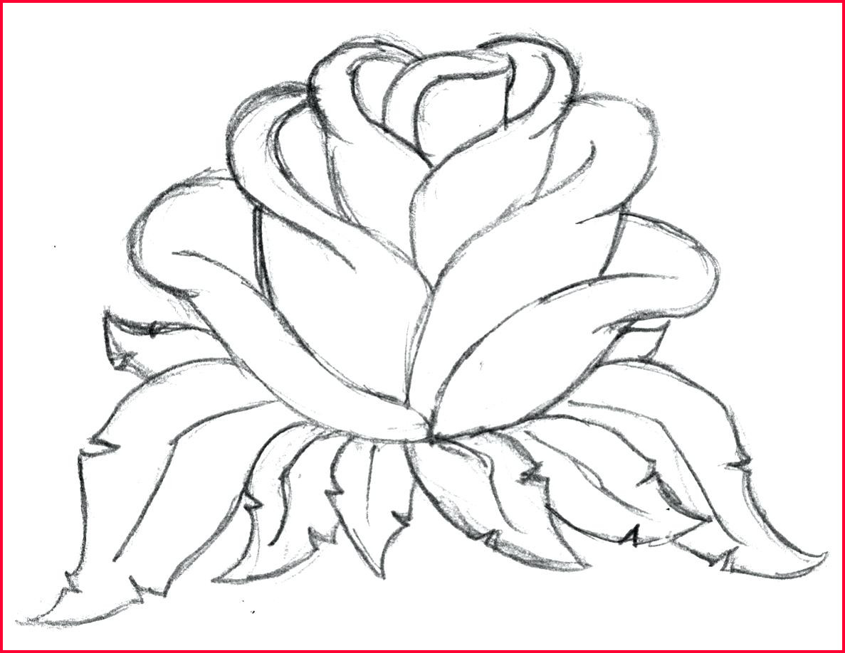 Drawings Of Flowers To Trace