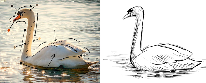 700x283 how is digital drawing different from traditional art - Traditional Drawing