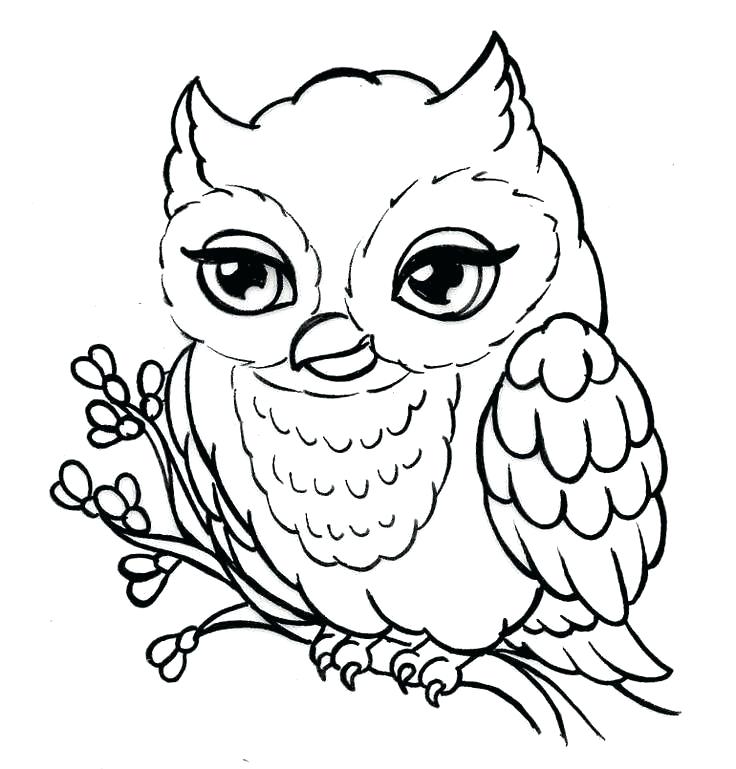 Traditional Owl Drawing at PaintingValley.com | Explore 