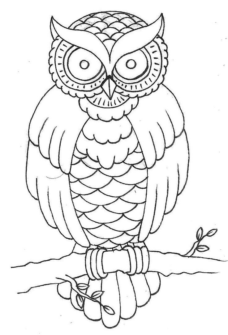 737x1085 full shading here traditional owl design with shading hand - Traditional Owl Drawing