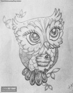 236x300 Huge Collection Of 'owl Tattoo Drawing' Download More Than - Traditional Owl Drawing