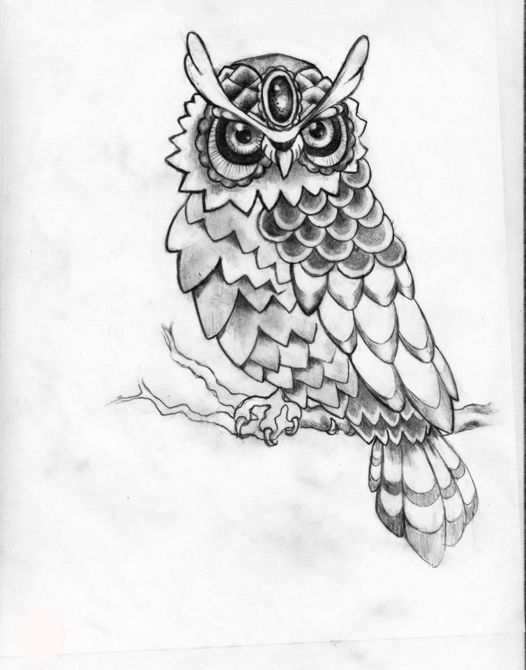 754x960 jewel forehead owl tattoo drawing owl tattoo - Traditional Owl Drawing