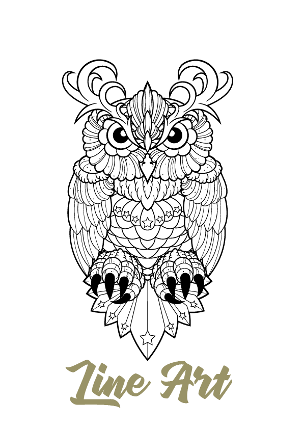 595x842 neo traditional owl on student show - Traditional Owl Drawing