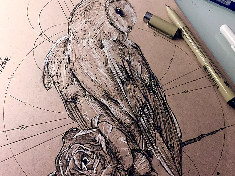 800x600 Owl Tattoo - Traditional Owl Drawing