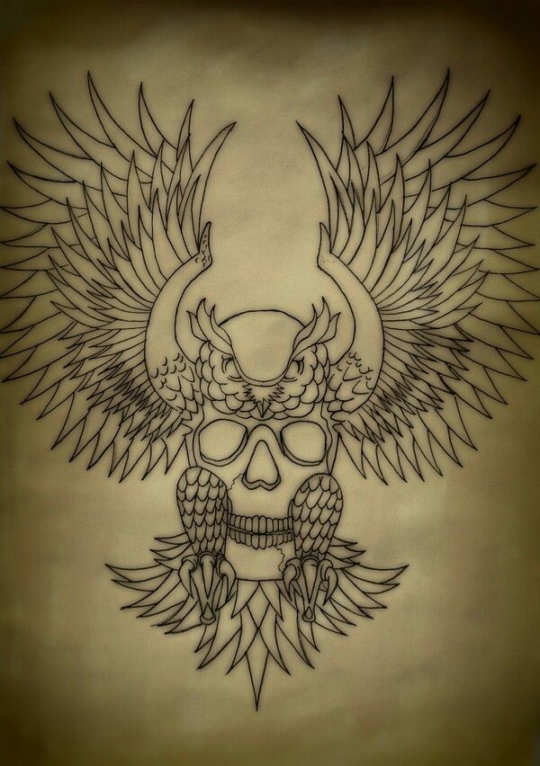 600x852 owl drawing owls tattoos, owl tattoo design, owl skull tattoos - Traditional Owl Drawing
