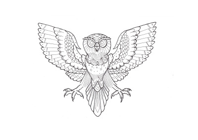400x283 Owl Illustration Tumblr - Traditional Owl Drawing