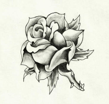 368x350 Traditional Rose - Traditional Rose Drawing