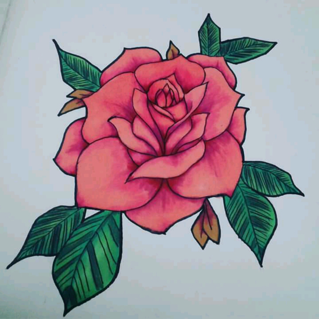 Traditional Rose Drawing at PaintingValley.com | Explore collection of ...