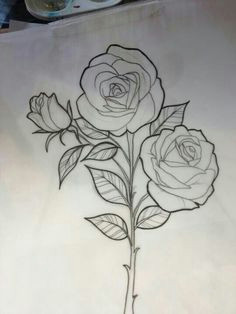 236x314 drawing a traditional rose best rose drawings images roses - Traditional Rose Drawing