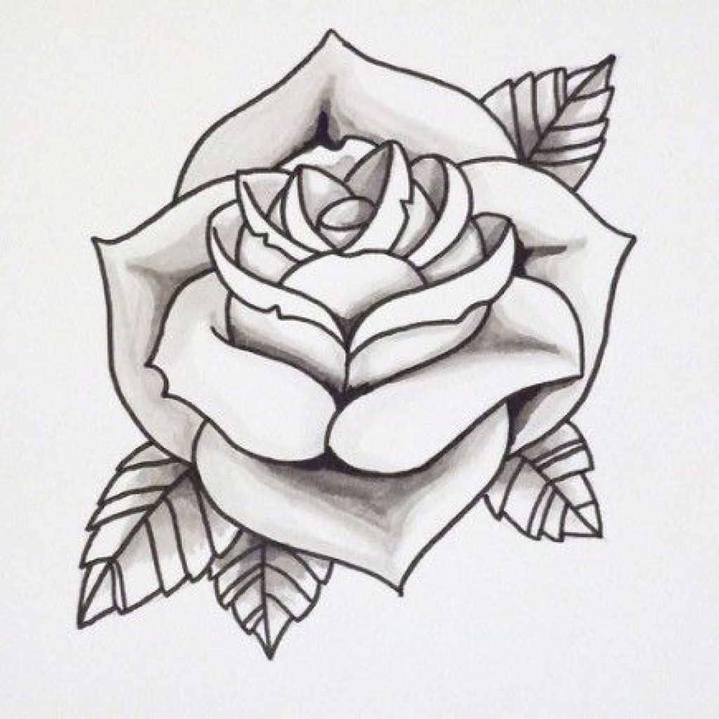 Traditional Rose Tattoo Drawing at