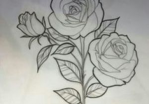300x210 drawing a traditional rose best rose drawings images roses - Traditional Rose Tattoo Drawing