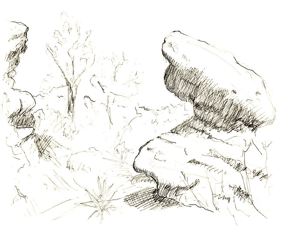 900x719 Garden Of The Gods Rocks Along The Trail Ink Drawing - Trail Drawing