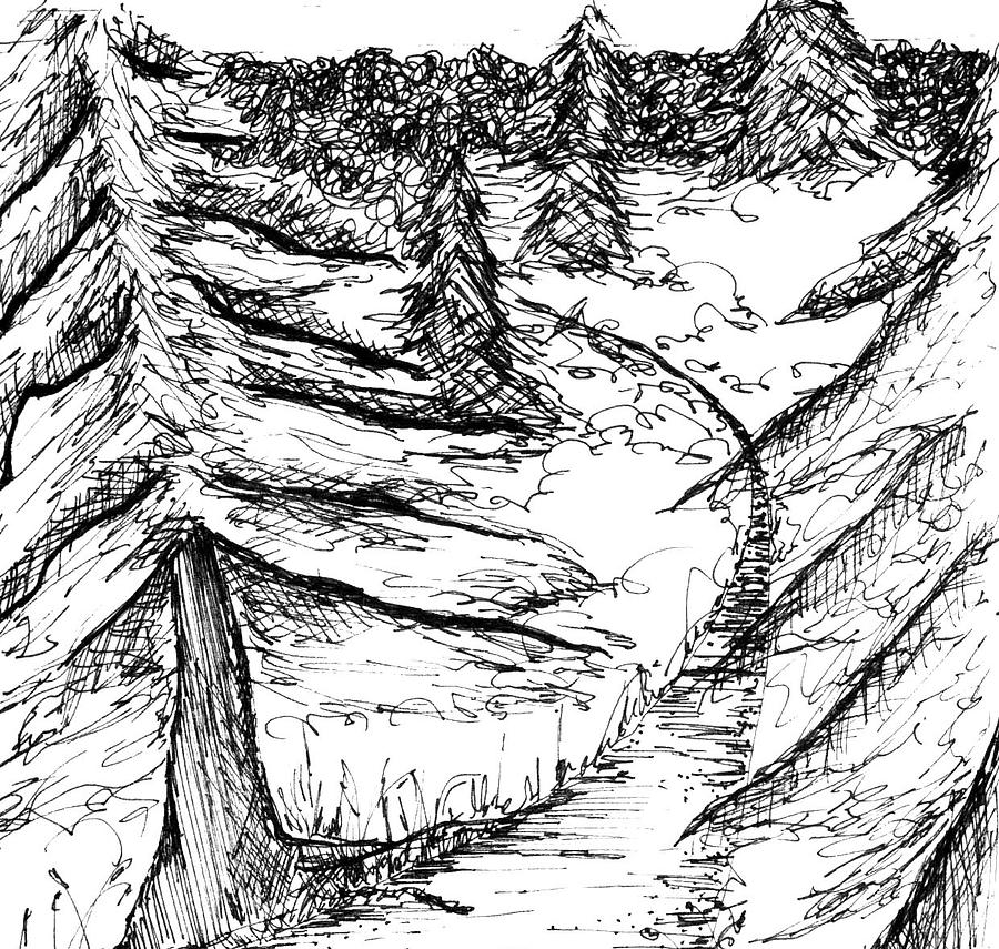 900x855 Cedar Trail Drawing - Trail Drawing