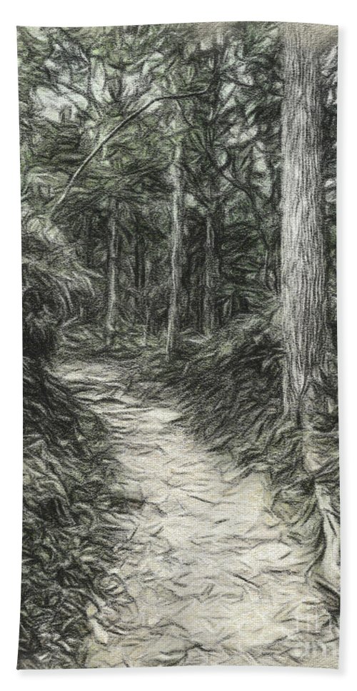 500x967 Charcoal Drawing Trail At The World Heritage Forest Kumano Kodo - Trail Drawing
