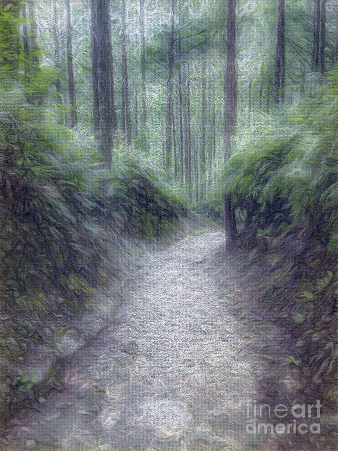 675x900 Conte Drawing Trail At The World Heritage Forest Kumano Kodo, W - Trail Drawing