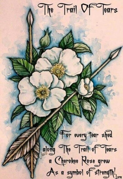 413x600 Trail Of Tears Drawing - Trail Of Tears Drawing