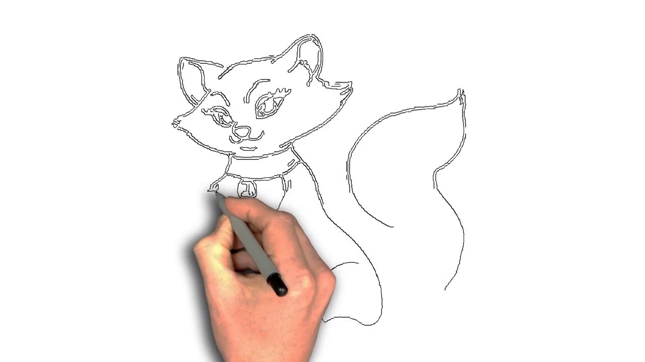1280x720 How To Draw Cartoon Cat Eyes How To Train A Cat What Tricks Can - Train Drawing Cartoon
