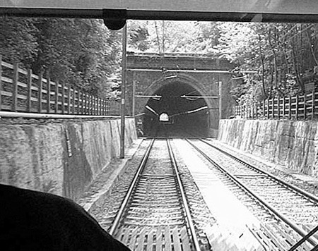 450x356 Horizon Lines Crooning Dog - Train Perspective Drawing