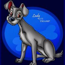220x220 how to draw how to draw tramp from lady and the tramp - Tramp Drawing