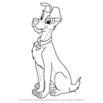 150x150 learn how to draw tramp from lady and the tramp - Tramp Drawing