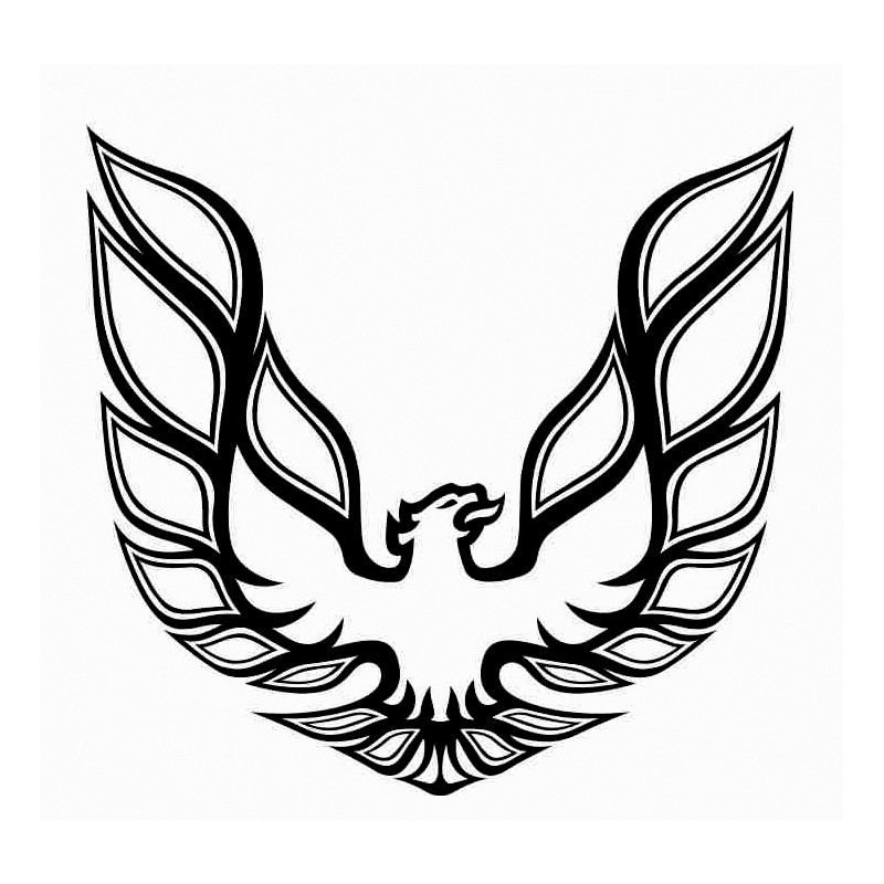 800x800 firebird trans am phoenix vinyl decal - Trans Am Drawing