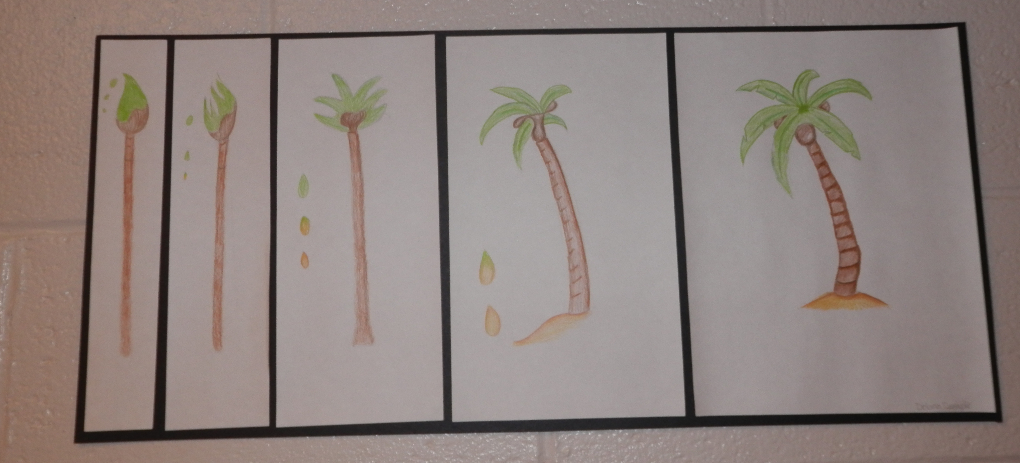 4288x1947 Transformation Drawings Artroomramblings - Transformation Drawings