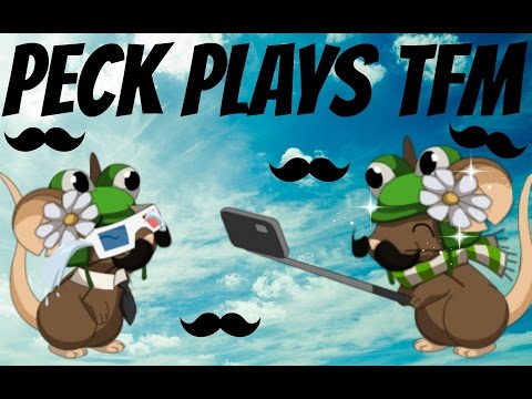 480x360 Transformice - Transformice Drawing