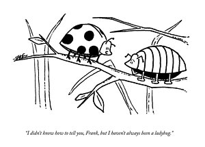 300x215 Transgender Drawings Fine Art America - Transgender Drawings