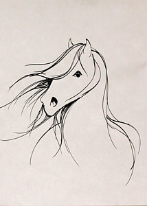 214x300 Transition Drawings - Transition Drawings