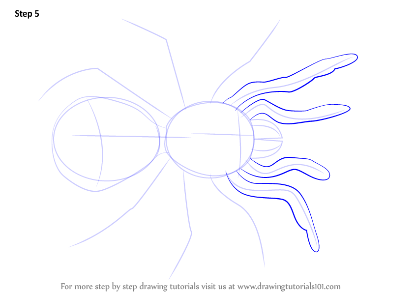 844x598 learn how to draw a trapdoor spider - Trapdoor Drawing