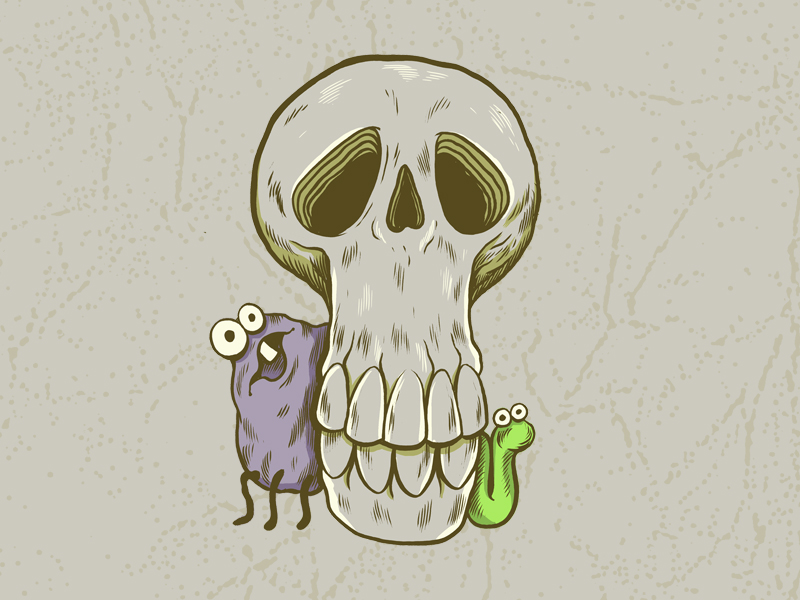 800x600 skull - Trapdoor Drawing