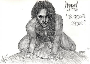 352x250 the trapdoor spider - Trapdoor Drawing