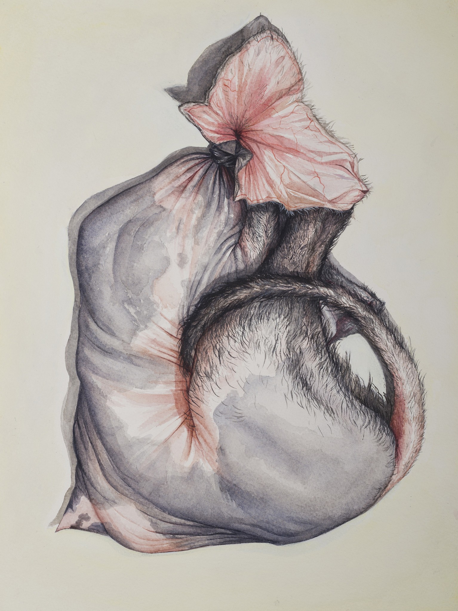 1534x2048 Obadah Aljefri Trash Bags Sleeping Athr Gallery - Trash Bag Drawing