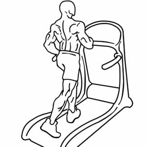 300x300 gymwolf - Treadmill Drawing