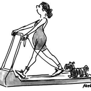 300x300 i don't get all the hype about treadmill desks drawing - Treadmill Drawing