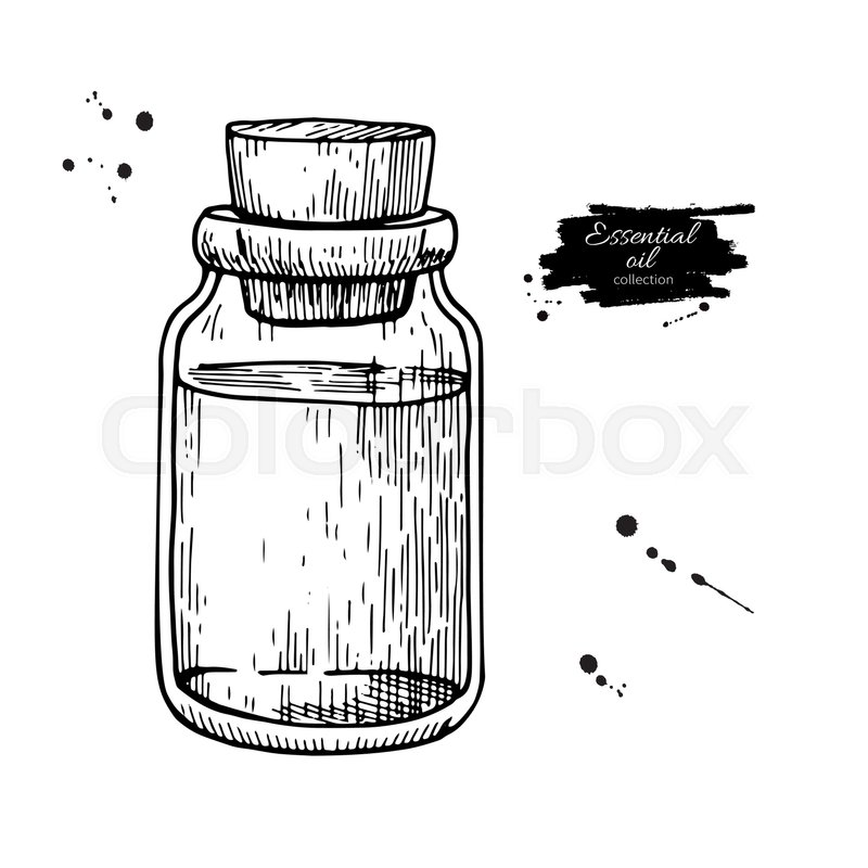 800x800 essential oil glass bottle hand drawn stock vector colourbox - Treatment Drawing