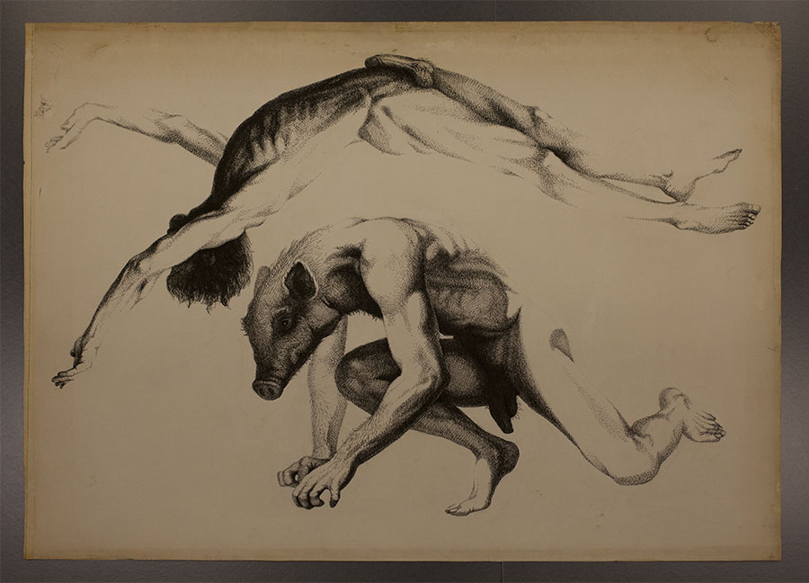 900x648 hornak drawings conservation treatment e lingle craig - Treatment Drawing