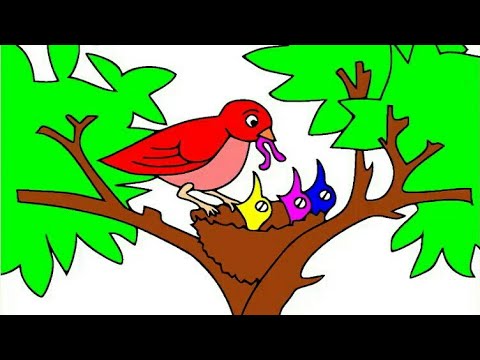 480x360 How To Draw And Color A Birds Nest In A Tree For Kids Draw Color - Tree And Bird Drawing