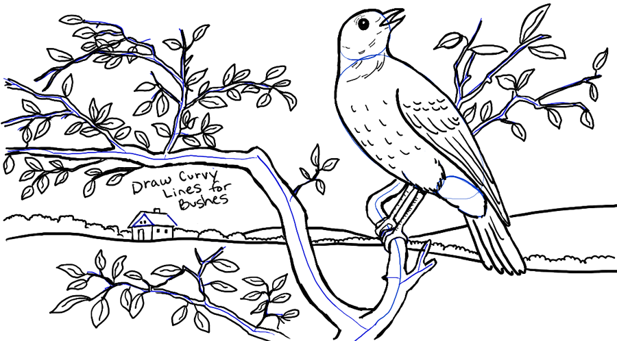900x498 How To Draw A Bird In A Tree In Front Of Rolling Hills Landscape - Tree And Bird Drawing