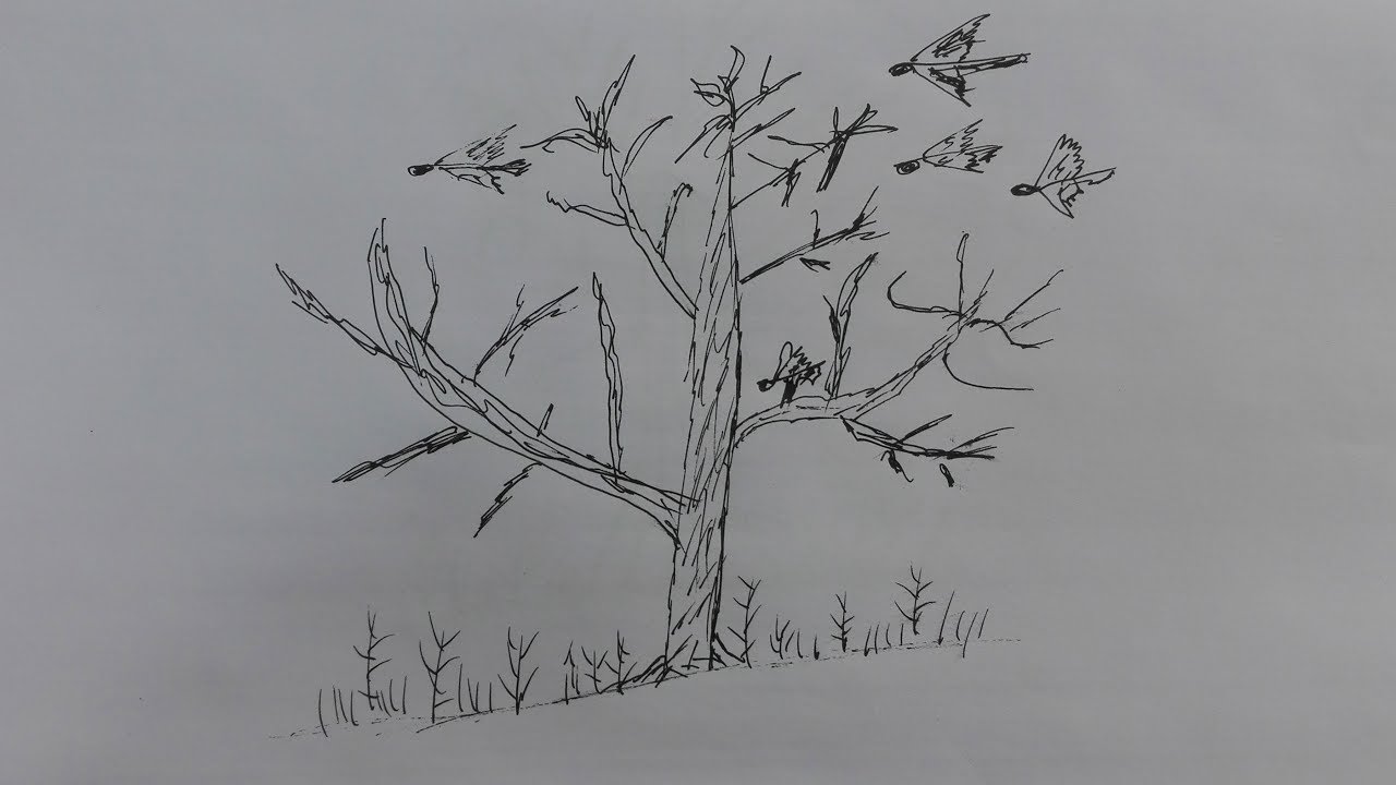 1280x720 How To Draw A Tree With Bird Draw A Bird Nest Step - Tree And Bird Drawing