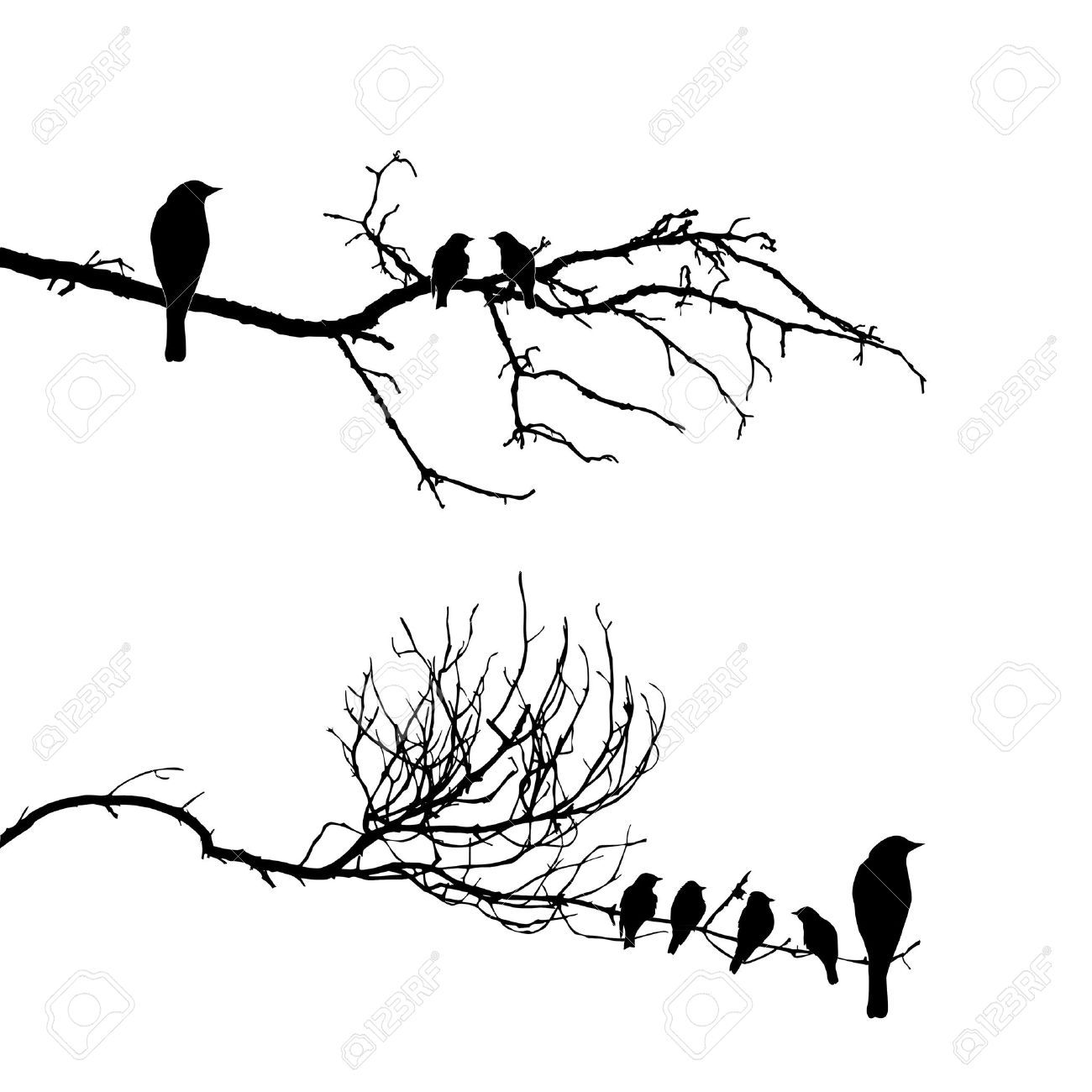 1300x1300 Vector Silhouette Of The Birds On Branch Tattoo Tattoos - Tree And Bird Drawing