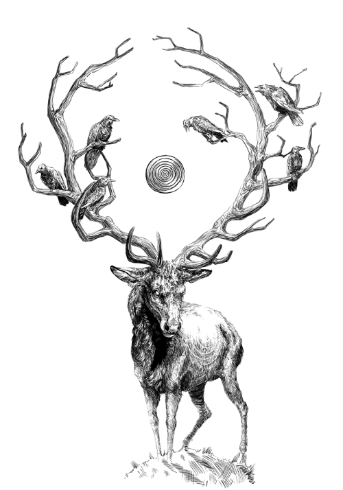 500x714 Drawing Art Tree Bird Raven Digital Deer Crow Niciekawego - Tree And Bird Drawing