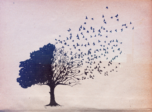 500x367 Tree, Birds, Drawing, Corvax - Tree And Bird Drawing