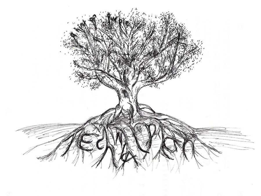 Tree And Roots Drawing