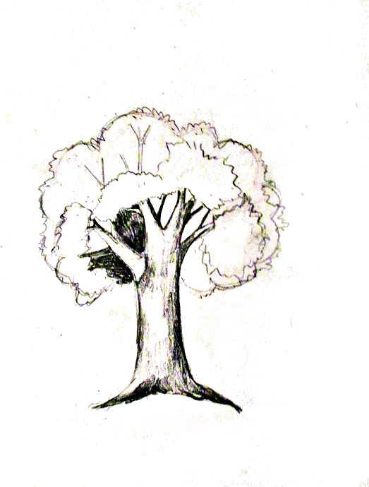 Tree And Roots Drawing at Explore collection of