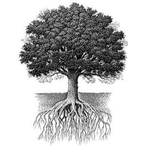 300x300 pictures drawings of trees and roots - Tree And Roots Drawing